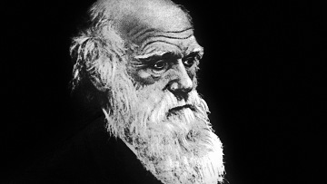 Где ошибся Дарвин?