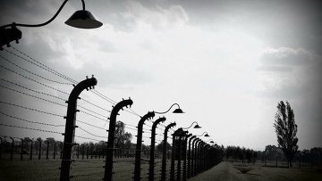 Освенцим и политика