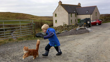 ������ ����� � �������. . . ������������?