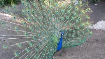 ������ �&nbsp;�������� ������� �����������