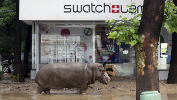 ������ ���������� � �������