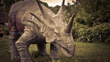 ��� ��������� �������� ����������?