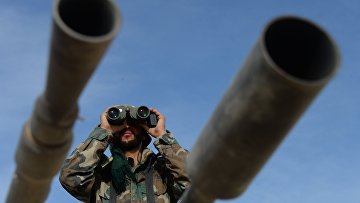 Сирийская армия полностью освободила от боевиков город Эль-Карьятейн