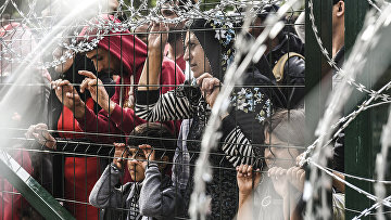 Мигранты за ограждением на границе Венгрии и Сербии