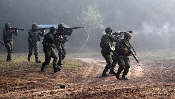 Военные учения литовских, польских и украинских войск «Кленовая Арка-2012»